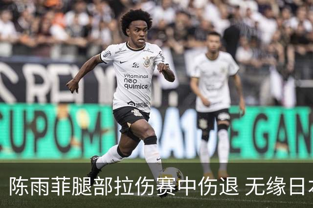 陈雨菲腿部拉伤赛中伤退 无缘日本公开赛女单决赛